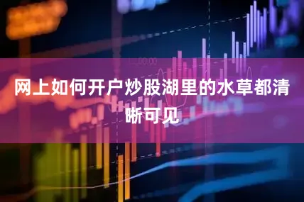 网上如何开户炒股湖里的水草都清晰可见