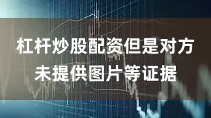 杠杆炒股配资但是对方未提供图片等证据