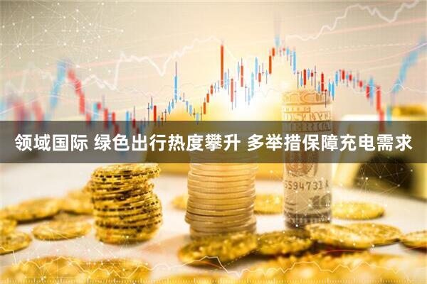 领域国际 绿色出行热度攀升 多举措保障充电需求